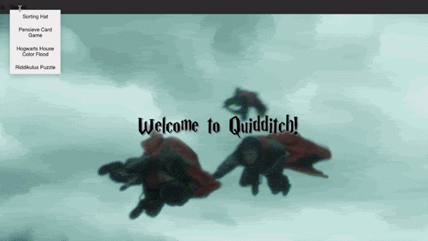Quidditch Project